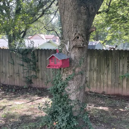 Cheerful mid-town home close to Bass Pro, shopping and local eateries.