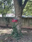 Cheerful mid-town home close to Bass Pro, shopping and local eateries. - 4-Star