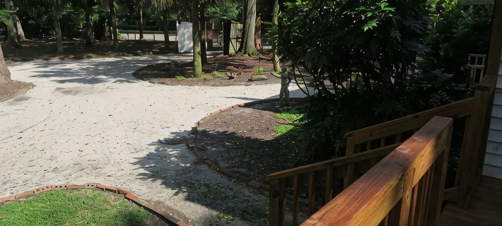 Historic Cottage - At Hopelands Gardens close to Hitchcock Woods (Remodeled) エイキンのホテル