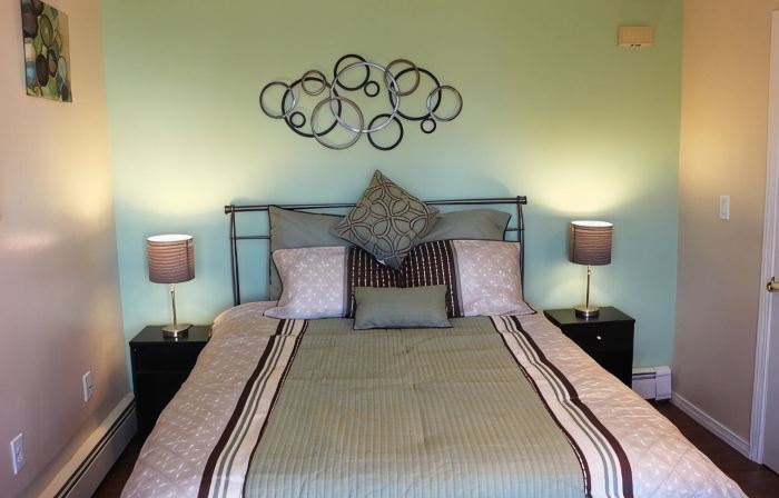 Cozy Modern 2 Bedrooms Apartment Close to Boston
