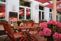 Hotel Zur Luppbode - bar