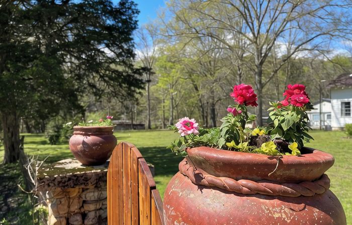 Step back into time with this 1850's historic house