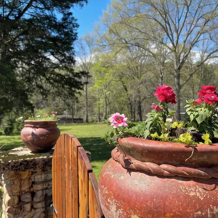 Step back into time with this 1850's historic house
