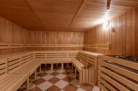 Saalbach Suites by Alps Resorts - Spa