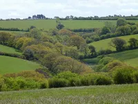 Country Cottage Near Boscastle, Situated Amid the Beautiful Cornish Countryside - Wifi