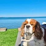 Bambu Urla Otel - en bord de mer