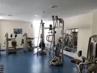 Wald Apartments im Predigtstuhl Resort - Gym
