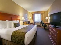 Best Western Plus Kennewick Inn - Pet friendly