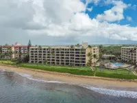 Amazing Ocean Front at Sugar Beach Resort #519, High End Remodel, 1Bed/1Bath - 4-Star
