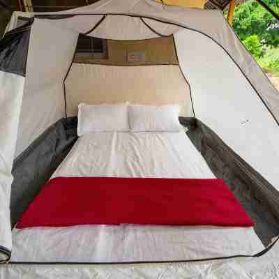 Dandeli Kali River Resort Rooms