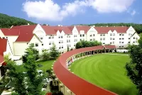 The Branson Hillside Hotel - bar