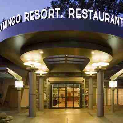 Flamingo Resort & Spa Hotel Exterior