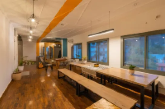 Madpackers Rishikesh Laxman Jhula