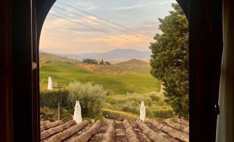 Room in BB - Room Overlooking the Vineyards and Florence