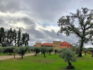 Palace Hotel & Spa Termas de São Tiago