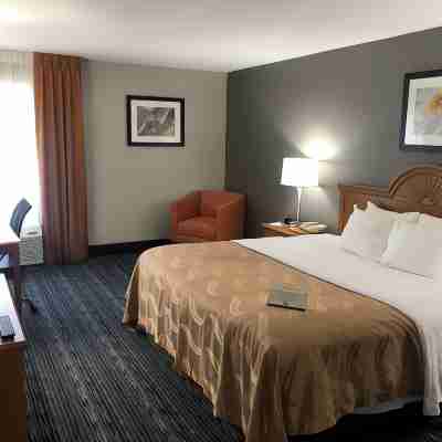 Quality Inn Rochester Rooms