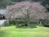 Hotel Isaba