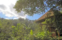 Alassari Plantation Hotel di Bali