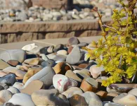 Sage Motel Hotels in Newcastle