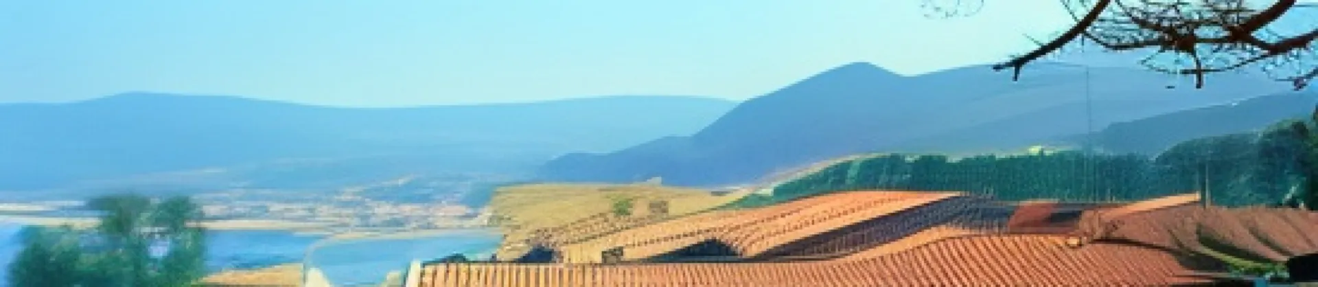 Scenic Hotels