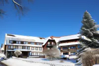 Hotel Hochfirst Hotels in Titisee-Neustadt