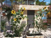 Xenonas ΚITHΑIRON Hotels in Megara
