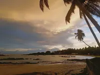 Coconut Cottage, Malvan