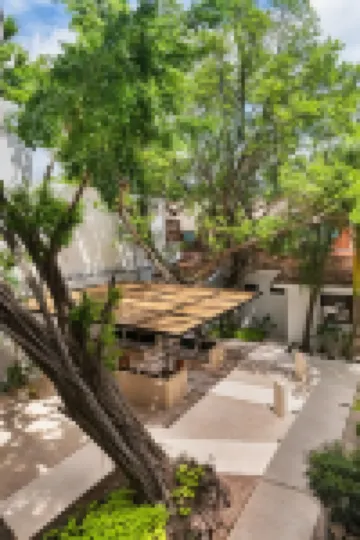 Aalada Playa del Carmen