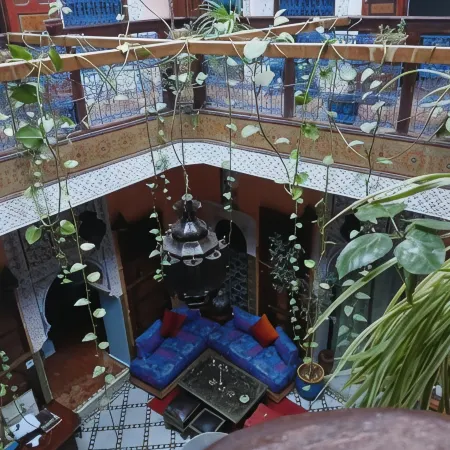 Riad Idrissi