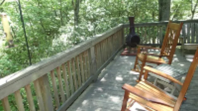 Peace-in-the-Forest Retreat - Singles, Couples, Artists, Forest Lovers