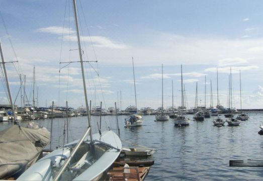 2. 오키드 가든 스..