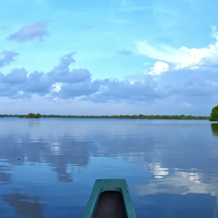 Wetland Resort