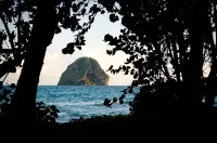 VILLA 4 STARS STANDING THE FEET IN THE WATER SWIMMING POOL AND PRIVATE GARDEN