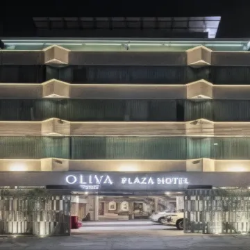 Oliva Plaza Hotel Отели рядом с достопримечательностью «Стадион «3 марта»»