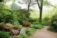 Flower Garden - breakfast