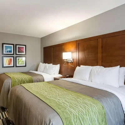 Quality Inn & Suites Ashland Near Kings Dominion Hotels near Randolph-Macon College