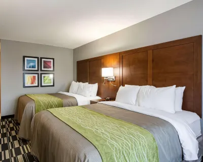 Quality Inn & Suites Ashland Near Kings Dominion Các khách sạn ở 