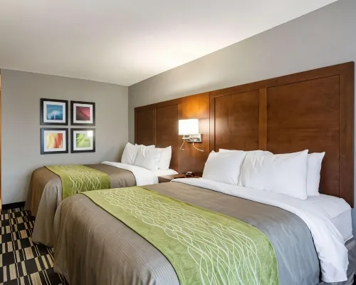 Quality Inn & Suites Ashland Near Kings Dominion