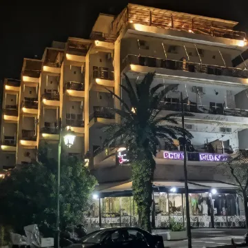 Petit Palais Hotel