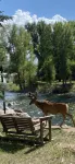 Located on the Historic Gunnison River-Casa Del Rio - 3-نجوم