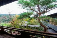 料亭旅館竹千代霧島別邸 - 山景