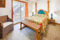 Oceanfront Pet-Friendly House with Private Pool in Salvo