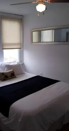 The House on Wine Alley