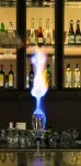 Regenta Central Hotel & Convention Centre Nagpur - ที่มีบาร์