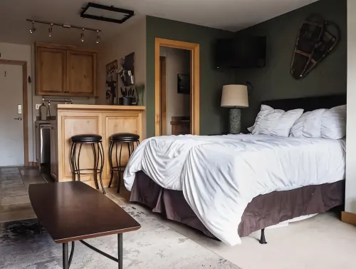 Sun Valley Adventure Condo