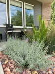 Boutique Style 1956-Mcm Home with Hot Tub in SE Boise!