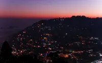Prashant Homestay Nainital: Orchard - 民宿