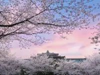 Jinjiang Inn Select Hotel (Wuhan University Donghu) Hotels near Han Street