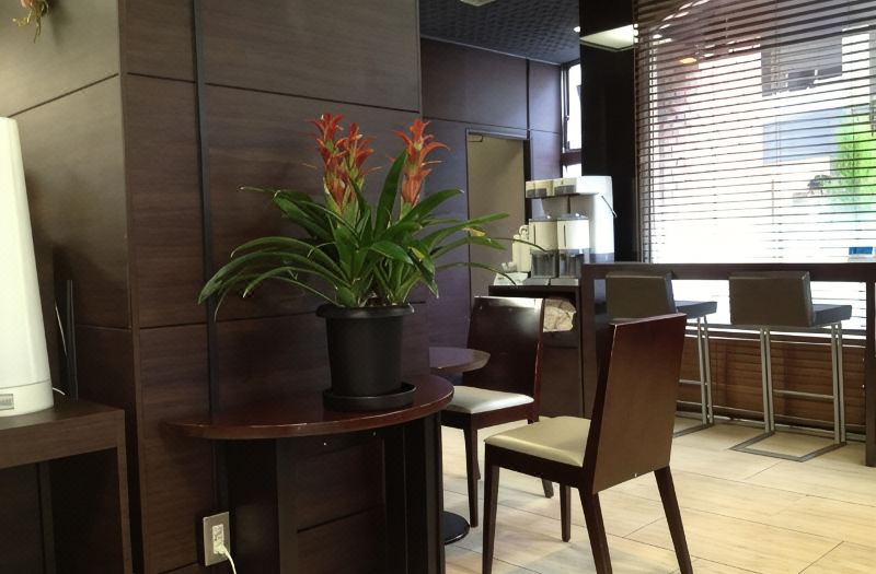 Hotel Horidome Villa photo 2