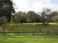Grade 2 Listed Rural Farm House Hotels in Godalming